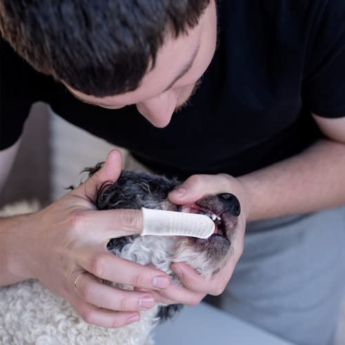 KATELUO 4 piezas de cepillo de dientes para perros, cepillo de dientes para gatos, cepillo de dientes para perros apto para gatos pequeños y perros domésticos para cepillarse los dientes (4 Piezas)