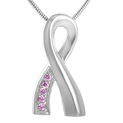 KBFDWEC Acero Inoxidable Brillante Rosa púrpura Cristal Ceniza Titular Mascota urna Perro/Gato urnas Colgante Collar joyería Conmemorativa Mujeres Rosa
