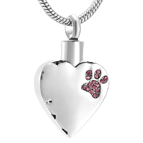 KBFDWEC Joyería Conmemorativa Ya no está a mi Lado, Pero para Siempre en mi corazón Collar de urna de cremación con medallón Tallado para Perros y Gatos