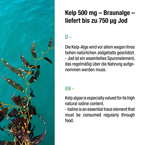 Kelp 500 mg - algas marrones - 250 cápsulas - fuente natural de yodo