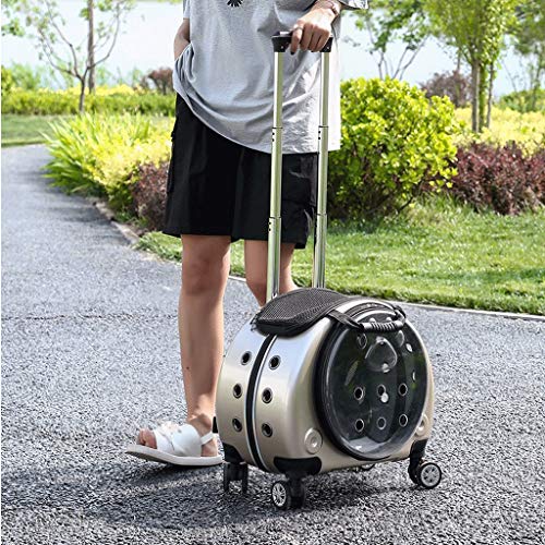 KHUY Pequeño Carrito para Perros con Rines de Primera Calidad en Los Viajes en Portador del Gato, Transportin Perro Pequeño Cochecito con Ruedas y Ampliada Vent (Color : Gold)