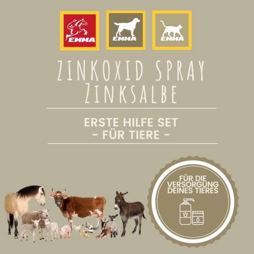 Kit de Primeros Auxilios I Spray de Zinc + pomada de Zinc I Spray para heridas I Spray de Zinc + Pasta de Zinc para apósitos de heridas Pomada + Spray para desinfección de heridas 200 250 ml