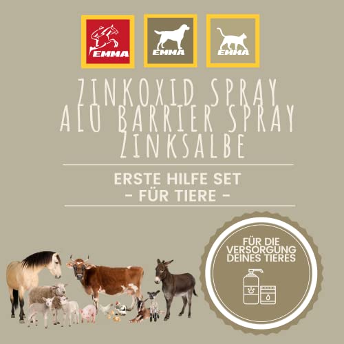 Kit de primeros auxilios para animales, pomada de zinc + spray de zinc + spray de plata I pasta de zinc para heridas I pomada para la cicatrización de heridas I cuidado desinfección 250 200 200 200 ml