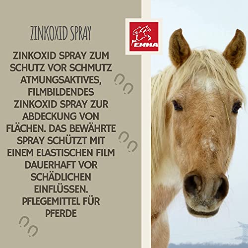 Kit de primeros auxilios para animales, pomada de zinc + spray de zinc + spray de plata I pasta de zinc para heridas I pomada para la cicatrización de heridas I cuidado desinfección 250 200 200 200 ml