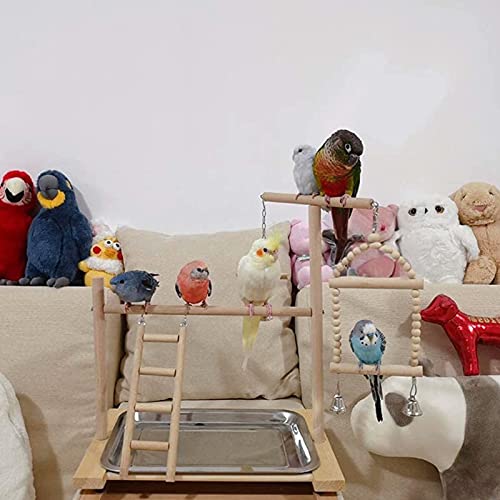 KLMYTCWSD agapornis Juguete Pájaro Perca Juego Soporte Gimnasio Oscilación Escalera Colgante con El Acero Inoxidable Copas Alimentador para Aves De Compañía Pet Supplies(A:36 * 23 * 40CM)