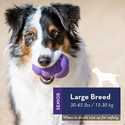 KONG Senior Morado Grande