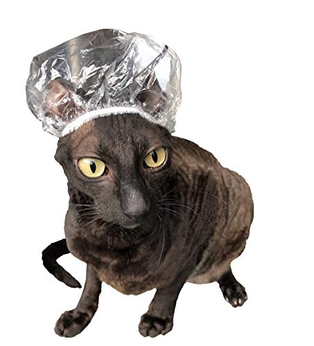 Kotomoda Shower Caps for Sphynx Cats and Other Hairless Cats in a Tin Gift Box