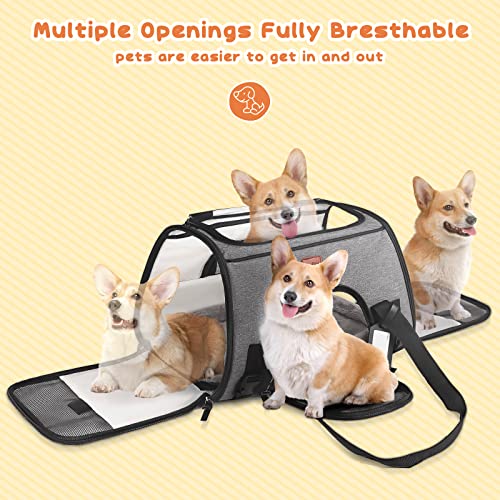 KYG Transportadora para Gato Perro Pequeño Portador de Viaje para Mascotas Bolsa Plegable de Transporte en Tren, Auto, Avión
