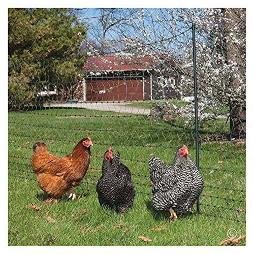 Lanrui 30 Hilos Pesados ​​Anti pájaros Red Ciervos Cerca jardín Cerca y Cultivos Protectores de esgrima Malla Anti pájaro Ciervo Gato Perro de Pollo Redes Red Gatos (Color : 2Mx 5M)