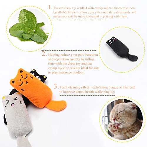 LanYing 5 Piezas Juguetes de Hierba Gatera Juguetes Hierba Gatera Juguetes para Gatos Interactivos Rascar el Gato Jugar Masticar Limpiar Los Diente