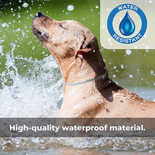LAPONO Collar de Pulgas y Garrapatas para Perro,Acción Prolongada 10 Meses de Protección y Prevención contra Pulgas Garrapatas,Piojos,Talla Única para Todos,Ajustable, Impermeable