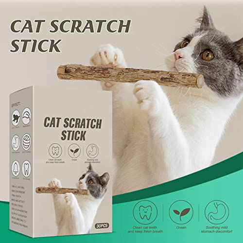LATROVALE 30 palos de hierba gatera, gato masticar palillo de gato natural masticar juguetes para gato gatito limpieza de dientes