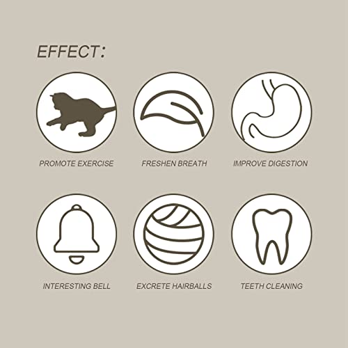LATROVALE 30 unids varitas gato masticar juguetes naturales palos limpieza dientes gato molar herramientas gatito hierba gatera palo
