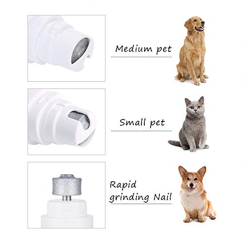LEERAIN Mascota EléCtrico Mudo Molinillo UñAs AutomáTico Perro Tijeras UñAs Gato CortaúñAs Conejos Completamente AutomáTico Molinillo Garra Manicura PortáTil Blanco