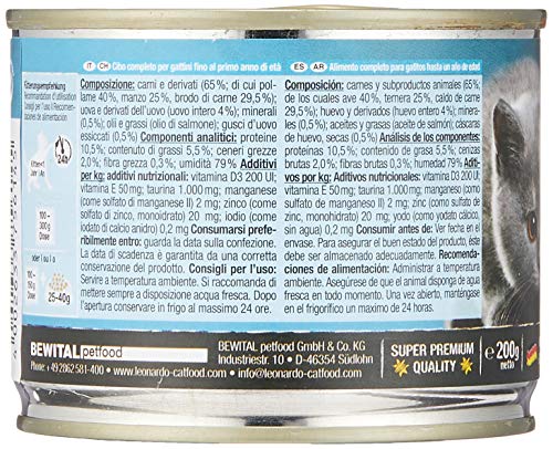 Leonardo Kitten Rico en Ave 200G