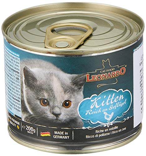Leonardo Kitten Rico en Ave 200G