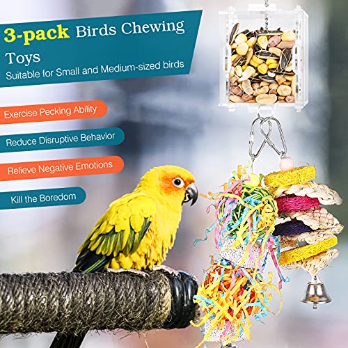 Lewondr 3PZS Juguete Colgante para Pájaro, Juguete Creativo de Comedero con Caja Transparente de Alimento y Ratán Masticadora para Jaula, Alimentador Intelectual para Mascotas Loro Ave