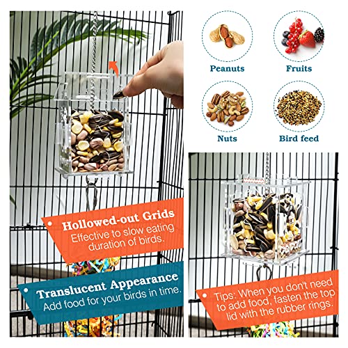 Lewondr 3PZS Juguete Colgante para Pájaro, Juguete Creativo de Comedero con Caja Transparente de Alimento y Ratán Masticadora para Jaula, Alimentador Intelectual para Mascotas Loro Ave