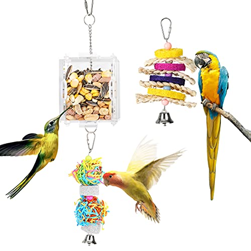Lewondr 3PZS Juguete Colgante para Pájaro, Juguete Creativo de Comedero con Caja Transparente de Alimento y Ratán Masticadora para Jaula, Alimentador Intelectual para Mascotas Loro Ave