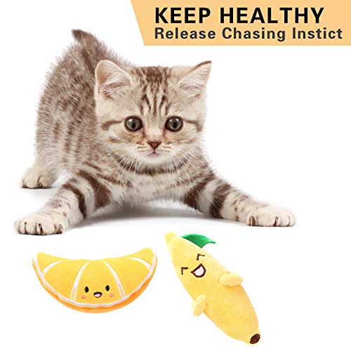 Lidiper 4 Piezas Juguetes Hierba Gatera, Juguete para Gato Juguetes del Catnip Almohada Gato Juguetes Interactivos para Gatos, Gatito (Plátano/Naranja/Pitaya/Mangostán)