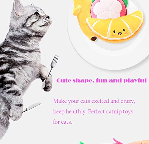 Lidiper 4 Piezas Juguetes Hierba Gatera, Juguete para Gato Juguetes del Catnip Almohada Gato Juguetes Interactivos para Gatos, Gatito (Plátano/Naranja/Pitaya/Mangostán)