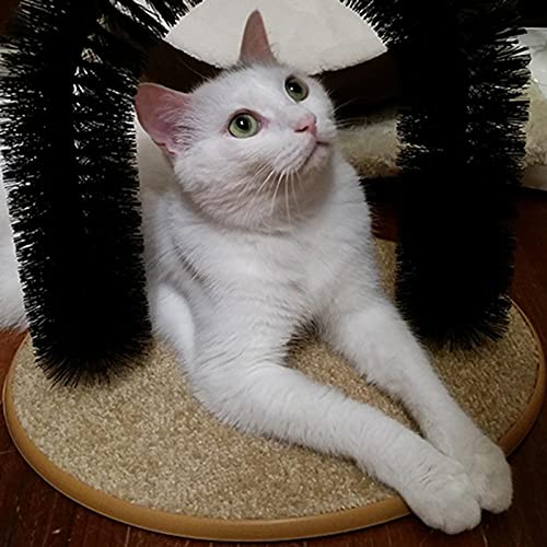 Lilangda Arco Rascador para Gatos, Masajeador De Gatitos Y Arco para Rascar para Mascotas Auto-Aseo con Almohadilla para Rascar En La Parte Inferior, Gatos Y Gatitos Juguetones