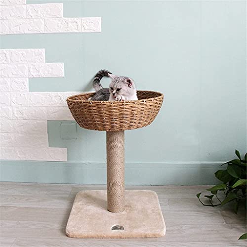 Lincheer Gatos de Escalada de Ruedas Correr Scraper Casa Torre Torre de Madera Cats Casa Cosas de Pet Pet RAPKING Kat STIZADOR (Color : C)