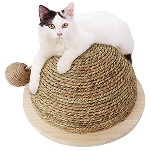Lincheer Gatos Populares Juguete de Madera Plato de Fondo de Madera Paja Semi-Circular Muela de Garra Bola Gatos Juguete Escalada Marco Gatos Juguete con Bola Colgante Sisal