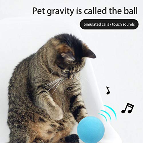 LINONI 1/3PCS Mascota Gato Gatera Lana Juguetes Interactivos Animales Sonidos Juguetes de Peluche Gatito Juguete Mascota Gato Mascota Mascota Vocal Juguete de Caza Entrenamiento Ejercicio Juguete
