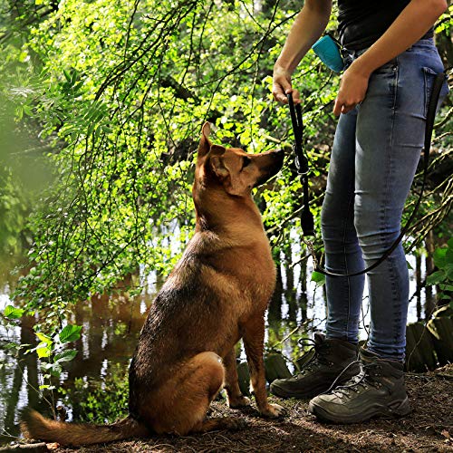 lionto Collar de perros collar retriever collar de adiestramiento 65 cm Ø 1 cm Negro