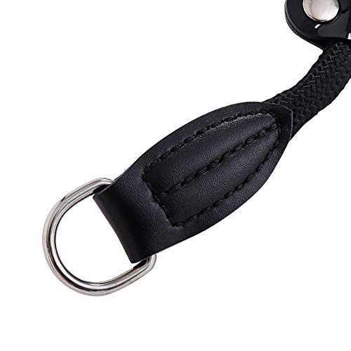 lionto Collar de perros collar retriever collar de adiestramiento 65 cm Ø 1 cm Negro