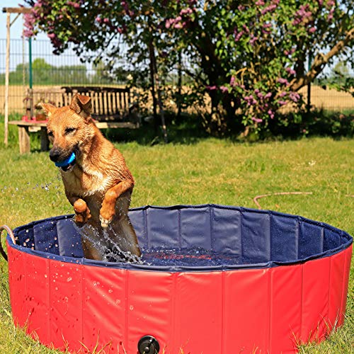 lionto Piscina plegable para perros bañera para perros piscina mascotas (M) Ø 120 cm