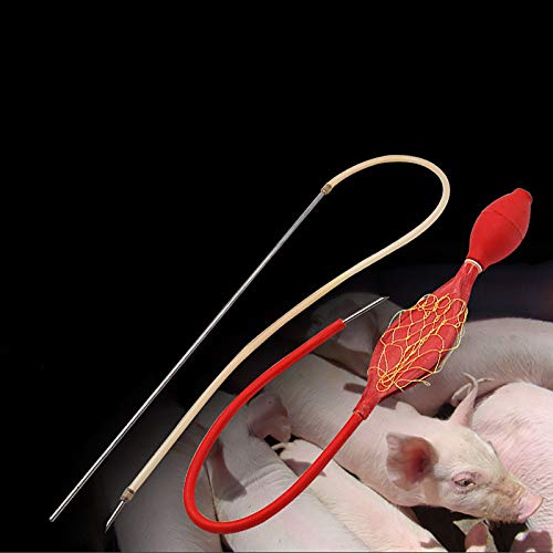 LMEILI Limpiador uterino Veterinario Irrigador de útero Animal para Cerdos y ovejas: se Utiliza para succión fecal y Lavado gástrico