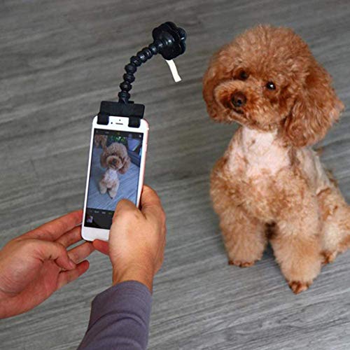 LTLJX Mascota Selfie Teléfono con Clip, Perro Gato Fácil Tomar Fotografías Juguete, No Tóxico, Graba Momentos Interesantes,Blanco