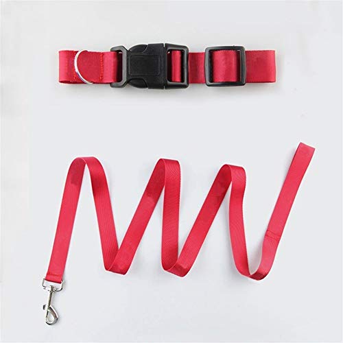 LUCHUII Correa de Perro, Asentar Correa de la Correa del Gato del Animal doméstico for Perros medianos Pequeño Perrito Accesorios Perros Collar de Mascotas Correa del Perro