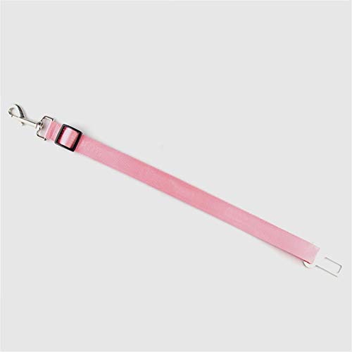 LUCHUII Correa de Perro, Asentar Correa de la Correa del Gato del Animal doméstico for Perros medianos Pequeño Perrito Accesorios Perros Collar de Mascotas Correa del Perro