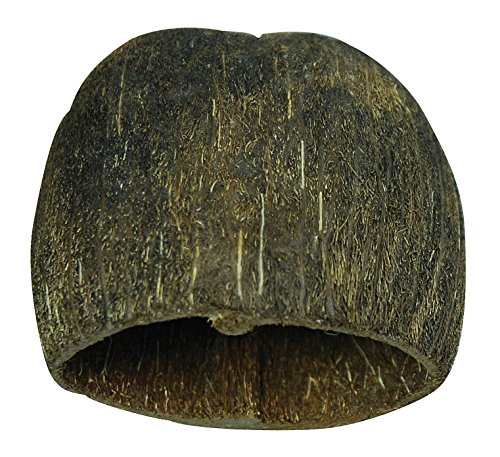 Lucky Reptile DB-01 Nature's Treasure Decor Box