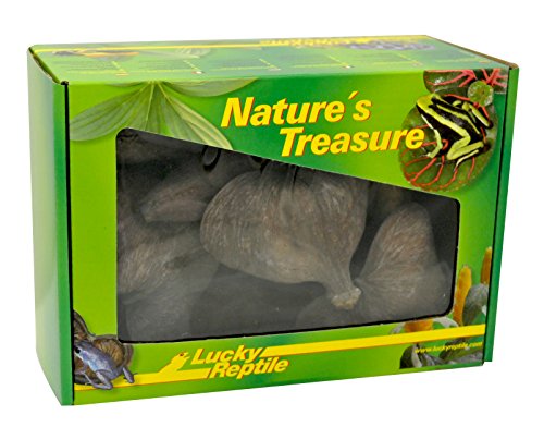 Lucky Reptile DB-01 Nature's Treasure Decor Box