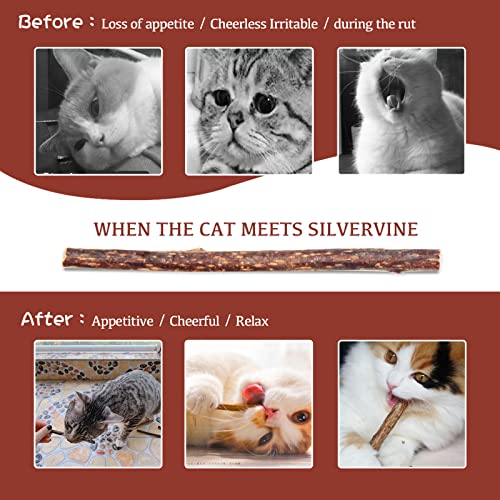 luystoka Matatabi Silvervine - Palo de madera para gatitos (30 unidades)