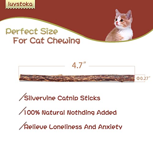 luystoka Matatabi Silvervine - Palo de madera para gatitos (30 unidades)