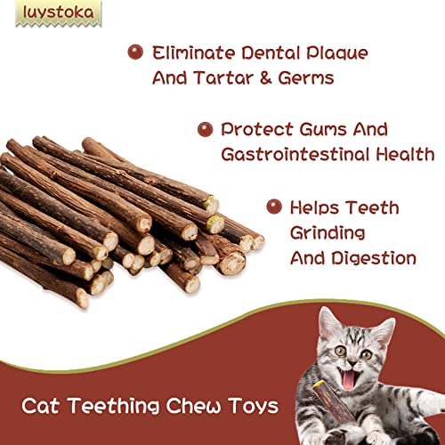 luystoka Matatabi Silvervine - Palo de madera para gatitos (30 unidades)