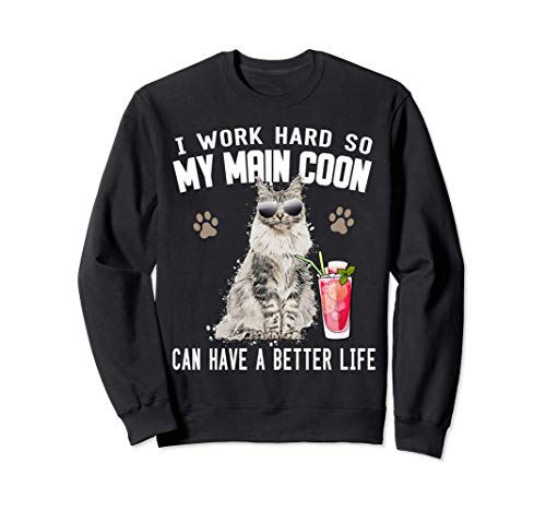 Maine Coon Gato Gatos gatito Maine Coon Sudadera