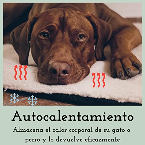 Manta térmica para perros y gatos para suelos fríos | Ideal para animales mayores | Manta térmica lavable para perros | Refleja el calor corporal | Estera de calor sin crujaduras