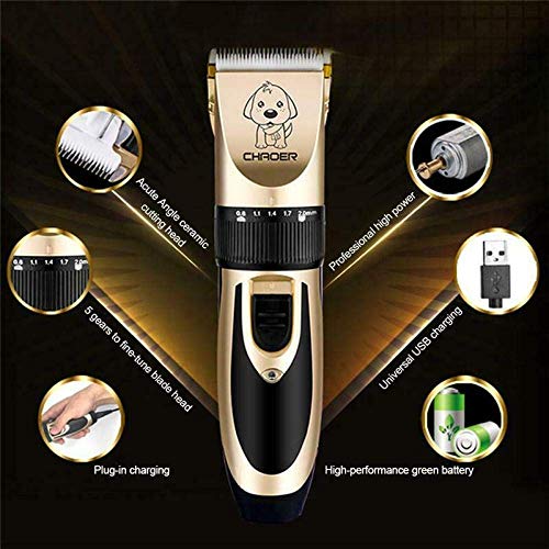 Maquinillas Eléctricas Pelo del gato del perro casero animal eléctrica de afeitar del condensador de ajuste de afeitar y estética tranquila inalámbricos Clipper mejores Aseo Clippers for los perros ga