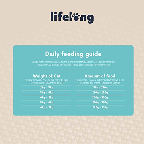 Marca Amazon - Lifelong Cat Food - Surtido de patés, Paquete de 32 x 100g