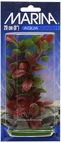 Marina Plantas Plásticas Aquascaper Medianas Ludwigia Roja, 20 cm
