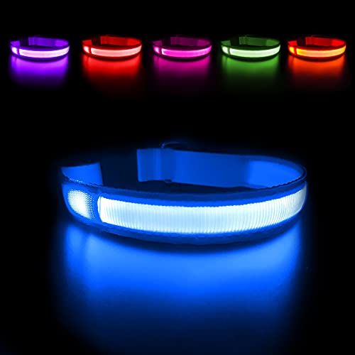 MASBRILL Collar Luminoso Perro de Mascota, 3 Modos Collar Perro Luz con Recargable y Impermeable, Ajustable Collares LED para Perros Pequeños/Medianos/Grandes(Azul M)