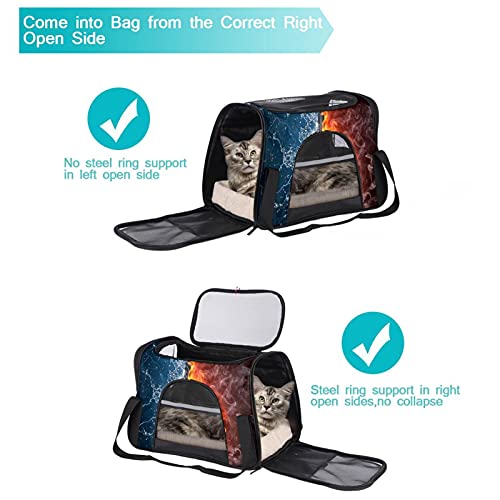MEITD Transportador de mascotas, comodidad para viajes en línea aérea para animales pequeños/gatos/gatito/cachorro azul negro guitarra trueno fuego