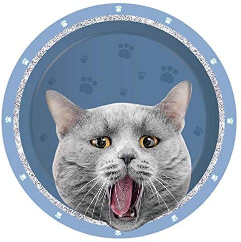 Memyme 254 Piezas de Suministros para Fiestas de Gatos y Mascotas, Incluyen Platos de Cena, Platos de Postre, Tazas, servilletas, pajitas, Decoraciones de Fiesta Desechables para Fiestas temáticas