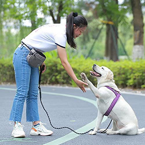 MERIGLARE Bolsa de Entrenamiento para Perros Bolsa de Almacenamiento de Alimentos Bolsa de Regalo para Perros Bolsa de Entrenamiento Dispensador de Bolsas, Sopo